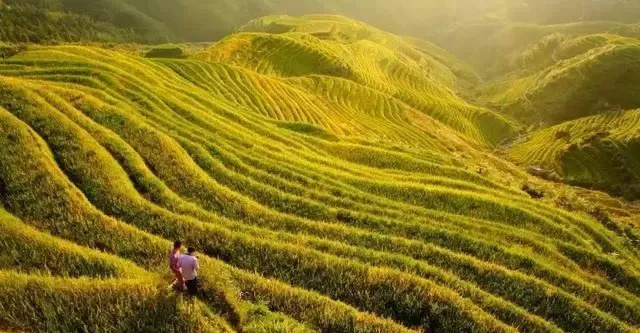北林转专业最新政策，探索自然美景的旅行邀请启航