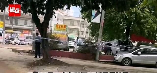 广东江门砍人事件辟谣，投入自然怀抱寻找内心宁静的启示