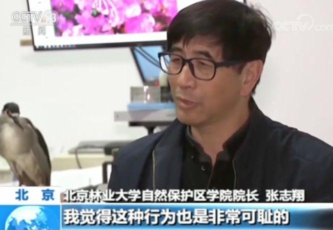 半月谈评论，年轻人玩梗无度现象探讨