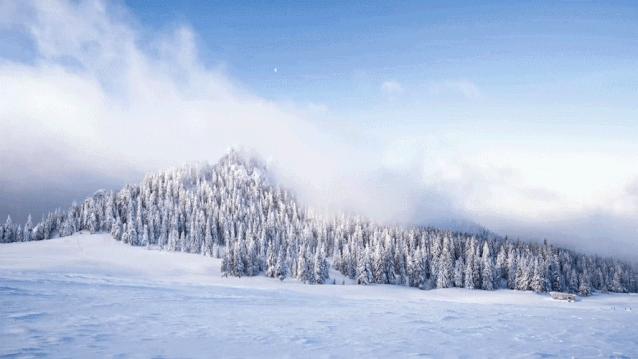 中东部地区雨雪大风降温天气影响及应对观点解析