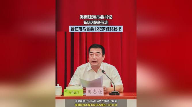 海南琼海市委书记田志强被带走事件，观点论述与影响分析