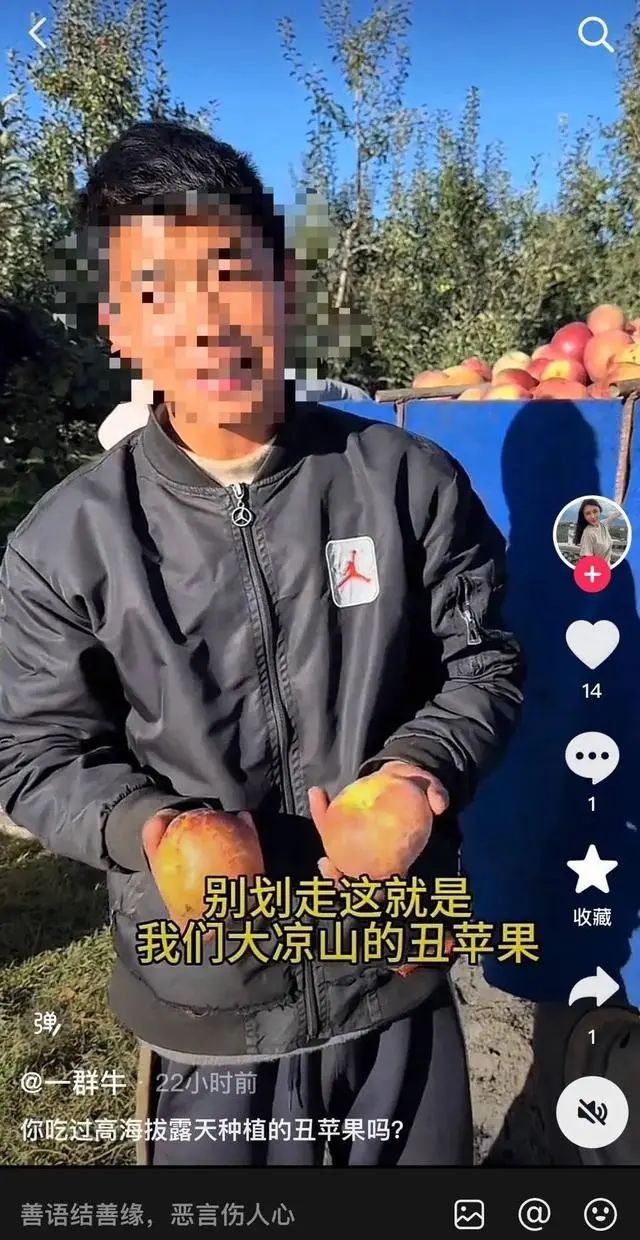 谣言揭秘，科技重塑真相，新一代智能苹果引领时代风潮揭秘辍学卖苹果传闻背后的真相