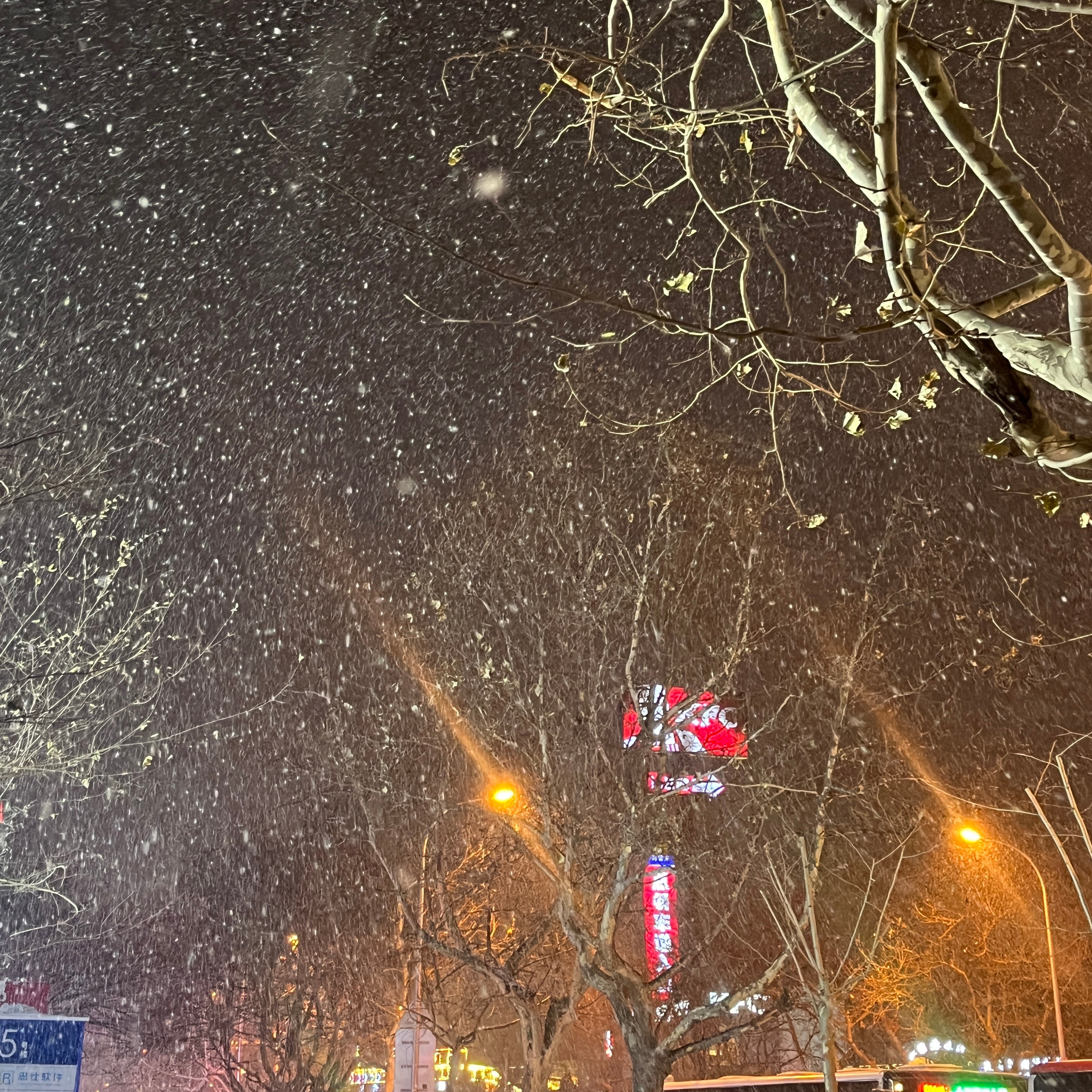 北京雪舞翩翩，自然美景的探索之旅