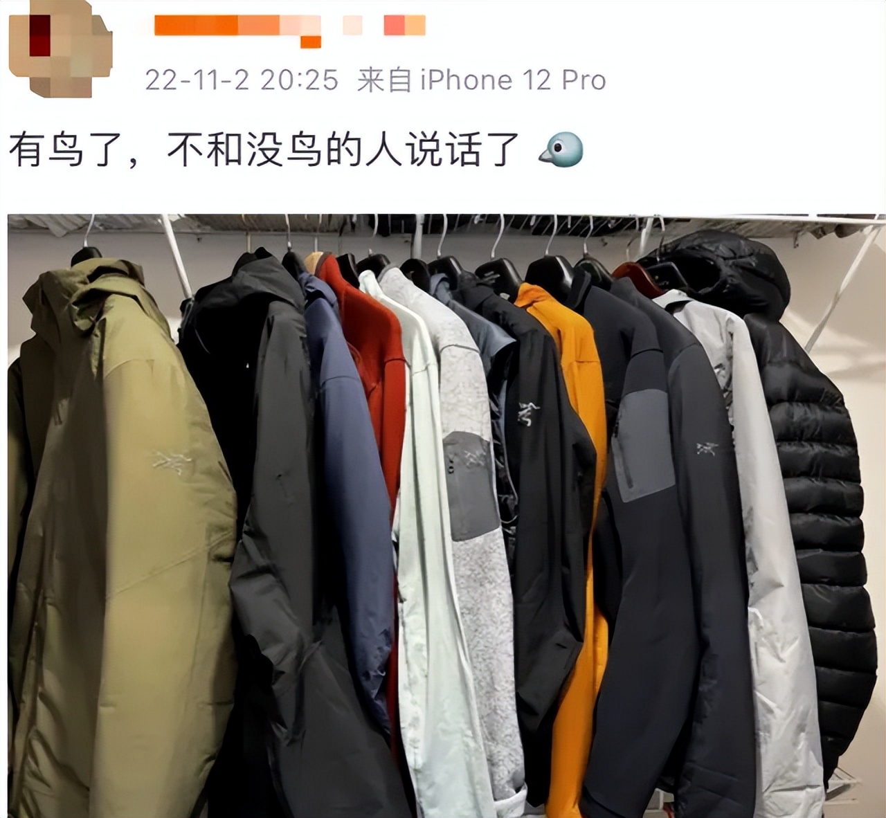 代购携带大量始祖鸟冲锋衣入境被查，法律与时尚潮流的碰撞