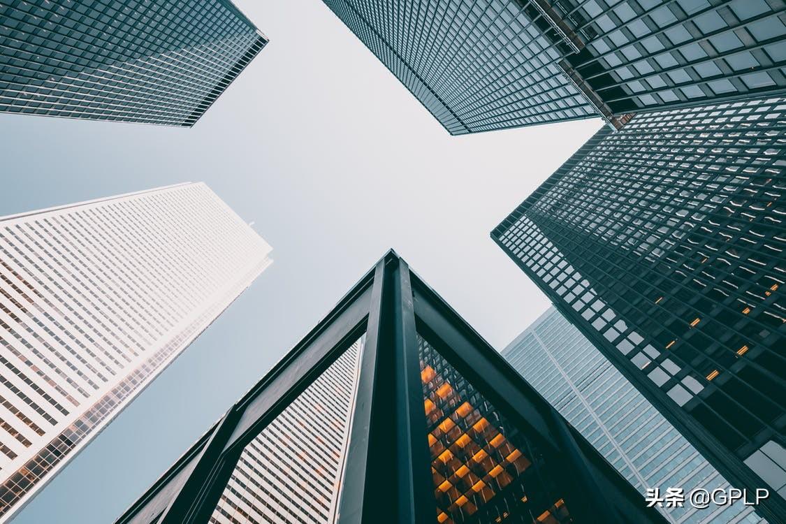 大连发现完整犀牛头骨化石，探寻与研究步骤详解