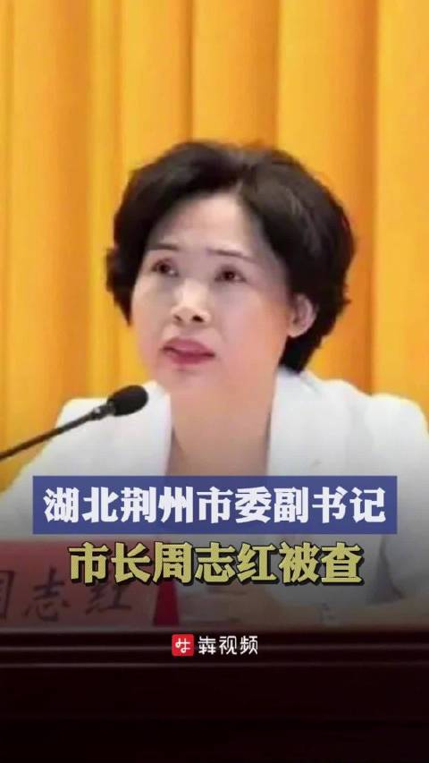 荆州市长被查，背景、事件与影响全解析