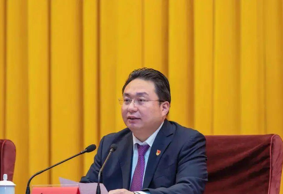 荆州市长被查事件详解，解析、应对与指南（初学者进阶必备）