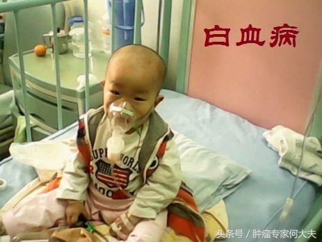 湖南鱼塘数千斤鱼疑似遭毒死事件解析与反思，悲剧背后的警示与反思