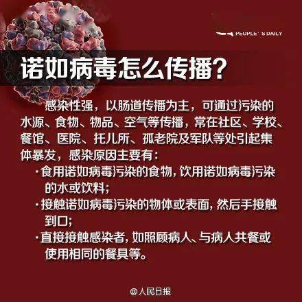 诺如病毒正处在感染高发季