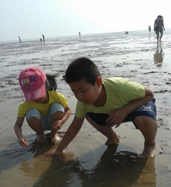 爸爸回应海滩撒花蛤让女儿捡