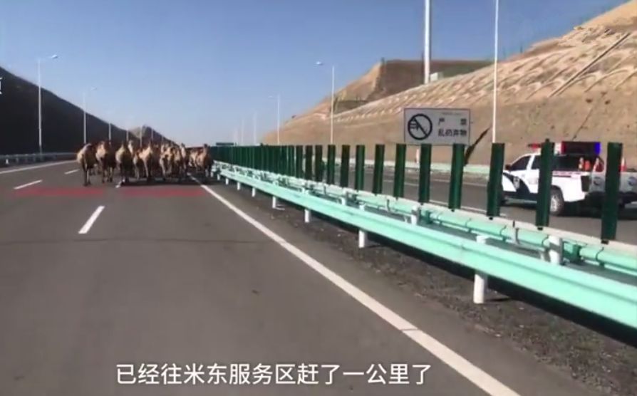 2024澳门天天开好彩大全香港_中国人将在月球上用榫卯工艺盖房,实证解答解释定义_影像版88.52.87