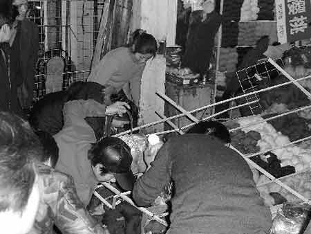 澳门今晚一肖必中特_安徽淮南一超市发生火灾 已致5死,权威解读说明_专属款88.64.52