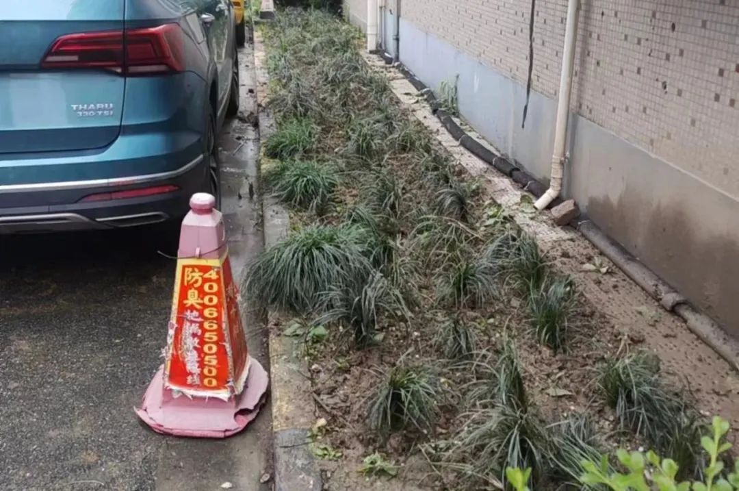 清流县旅游局 第1712页