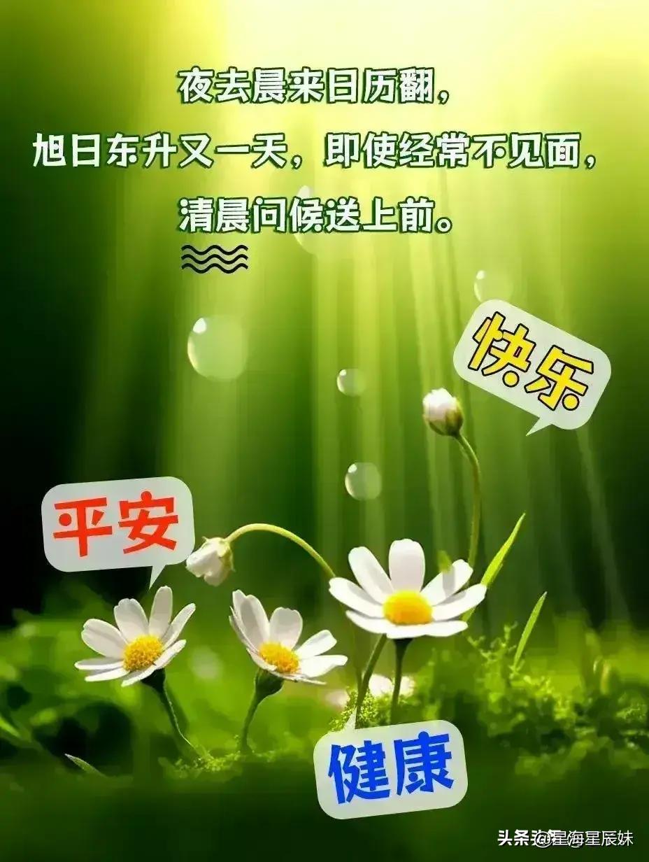 2024天天彩正版资料大全_华为最新款手机,适用设计解析_Executive83.32.72