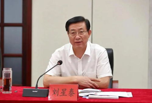 市委书记被查背后的故事，从落马省委书记秘书到市委书记的反思与启示