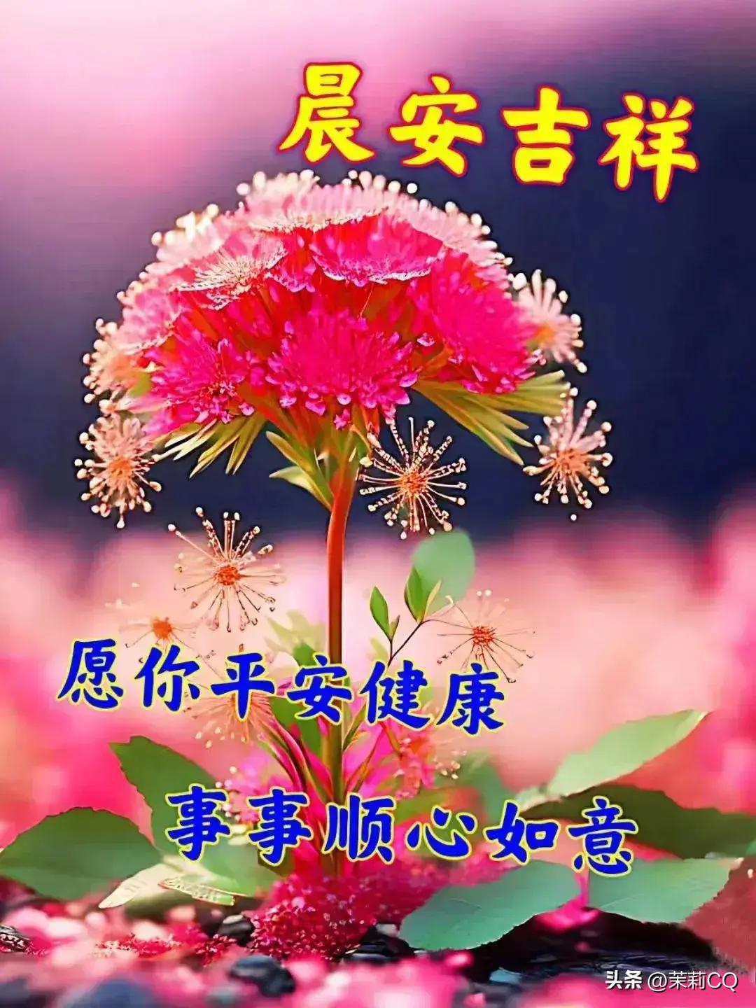 2024年天天彩资料免费大全,安全设计解析说明法_发布版9.437