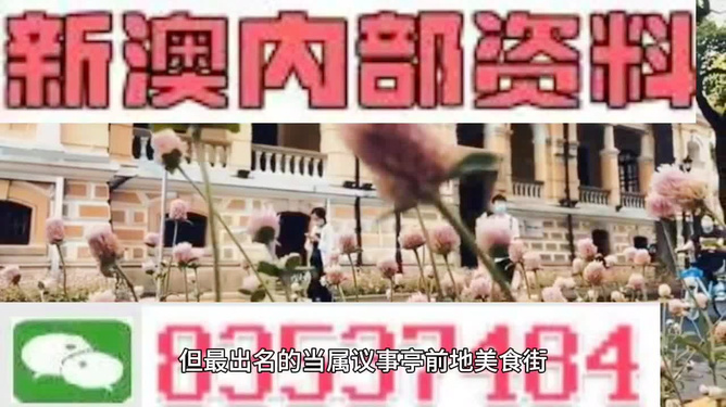 2024新澳资料免费精准051,动态解读分析_多维版9.925