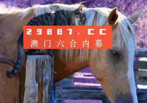 2024澳门买马最准网站,实地观察解释定义_声学版67.764