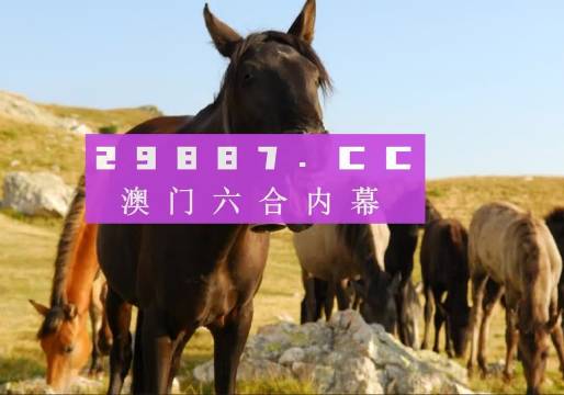 澳门管家婆一肖一码2023年,最新答案诠释说明_线上版9.918