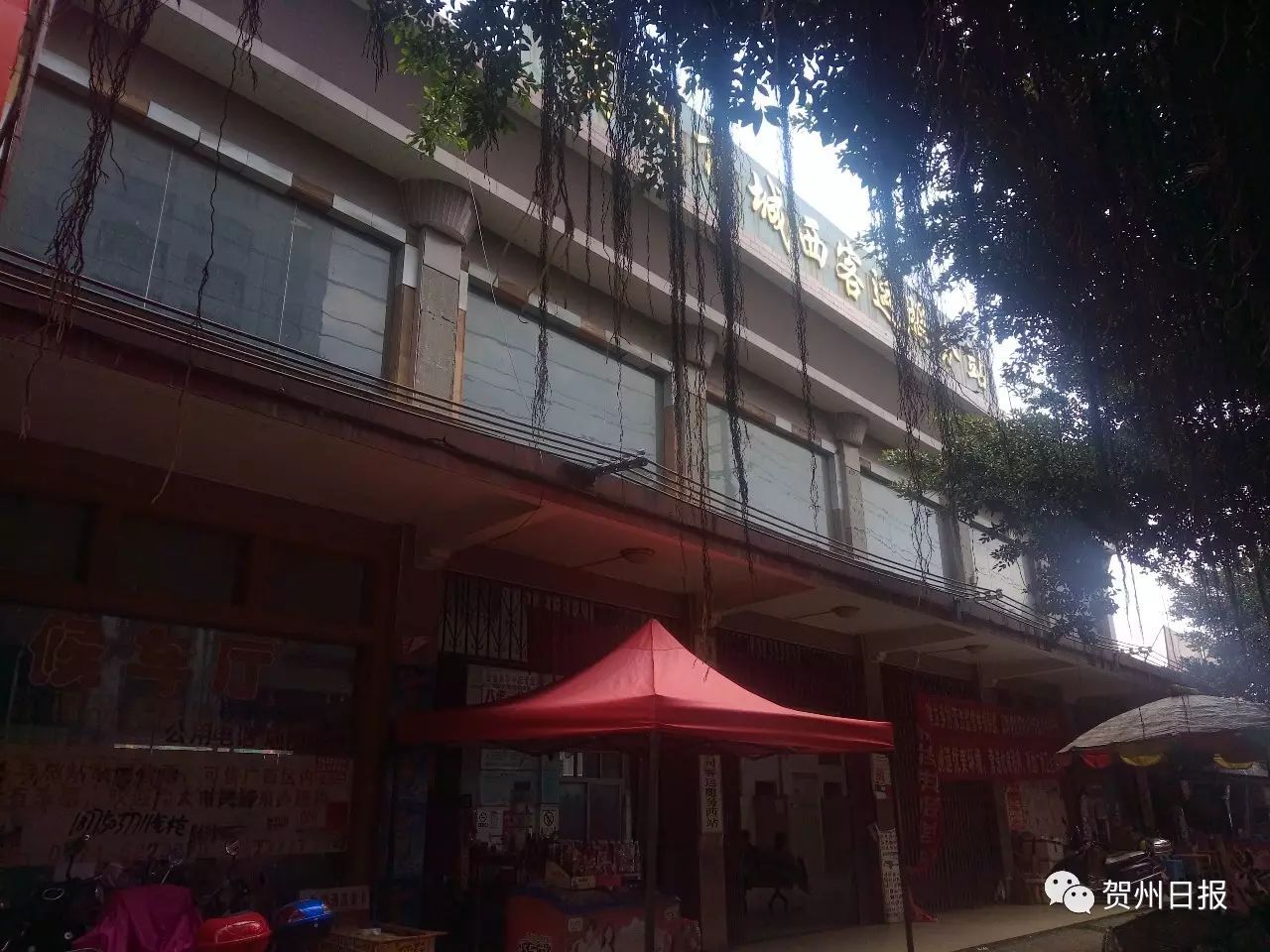 城西客运站最新动态及巷弄深处的独特小店探秘