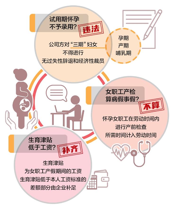 妇女产假最新规定及小巷中的宝藏小店探索