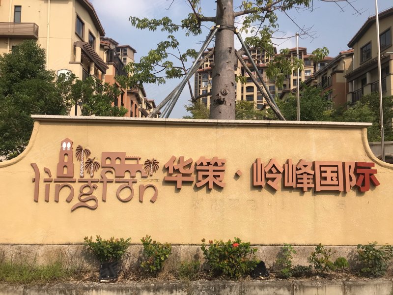 华策岭峰国际最新楼价揭秘，市场走势与各方观点深度探析