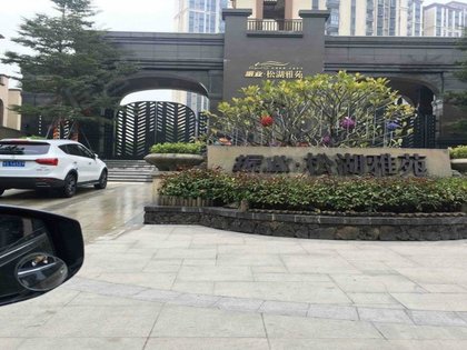 松湖雅苑最新房价，理想居住之选