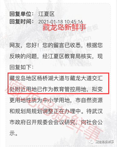 藏龙岛二小最新动态更新，最新消息汇集