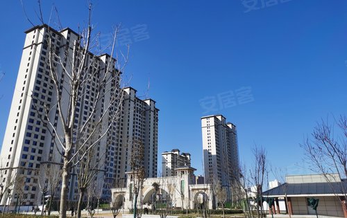 衡水星河湾荣景园，小巷中的隐藏瑰宝最新资讯