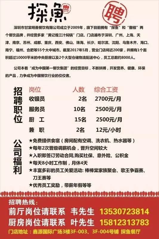 肇州百姓网最新招聘，小巷深处的独特机遇，探索无限可能！
