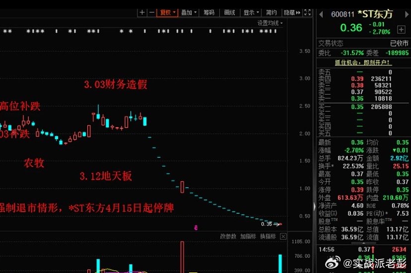 东方市场最新停牌消息与温馨股市故事交织