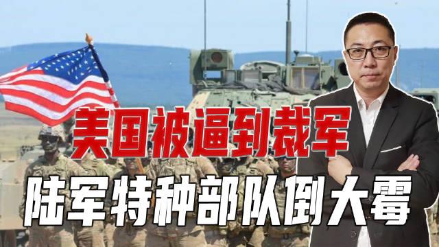陆军部队裁军最新动态更新