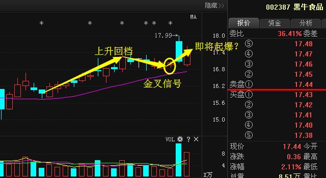黑牛食品定增最新动态及论述分析