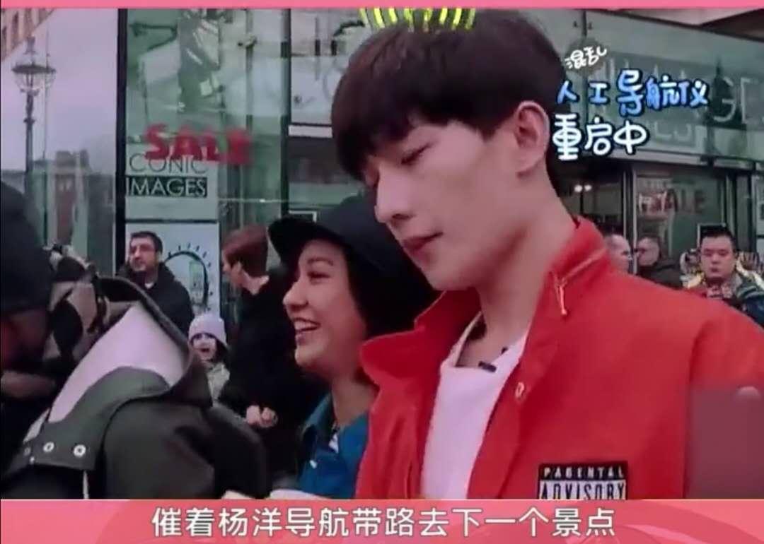 杨洋与郑爽，自然之旅的心灵探寻，最新动态揭秘